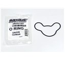 O-ring (8M2021987)